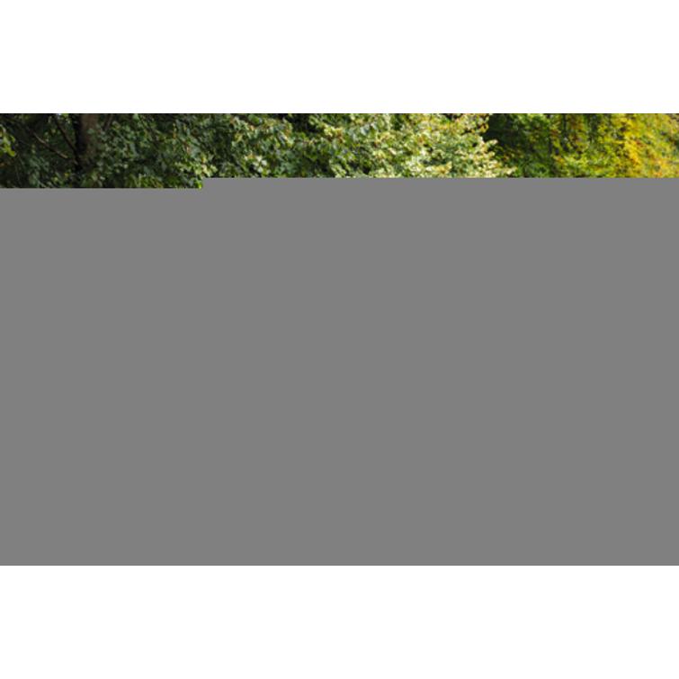 HSA 130 T, ilman akkua ja laturia